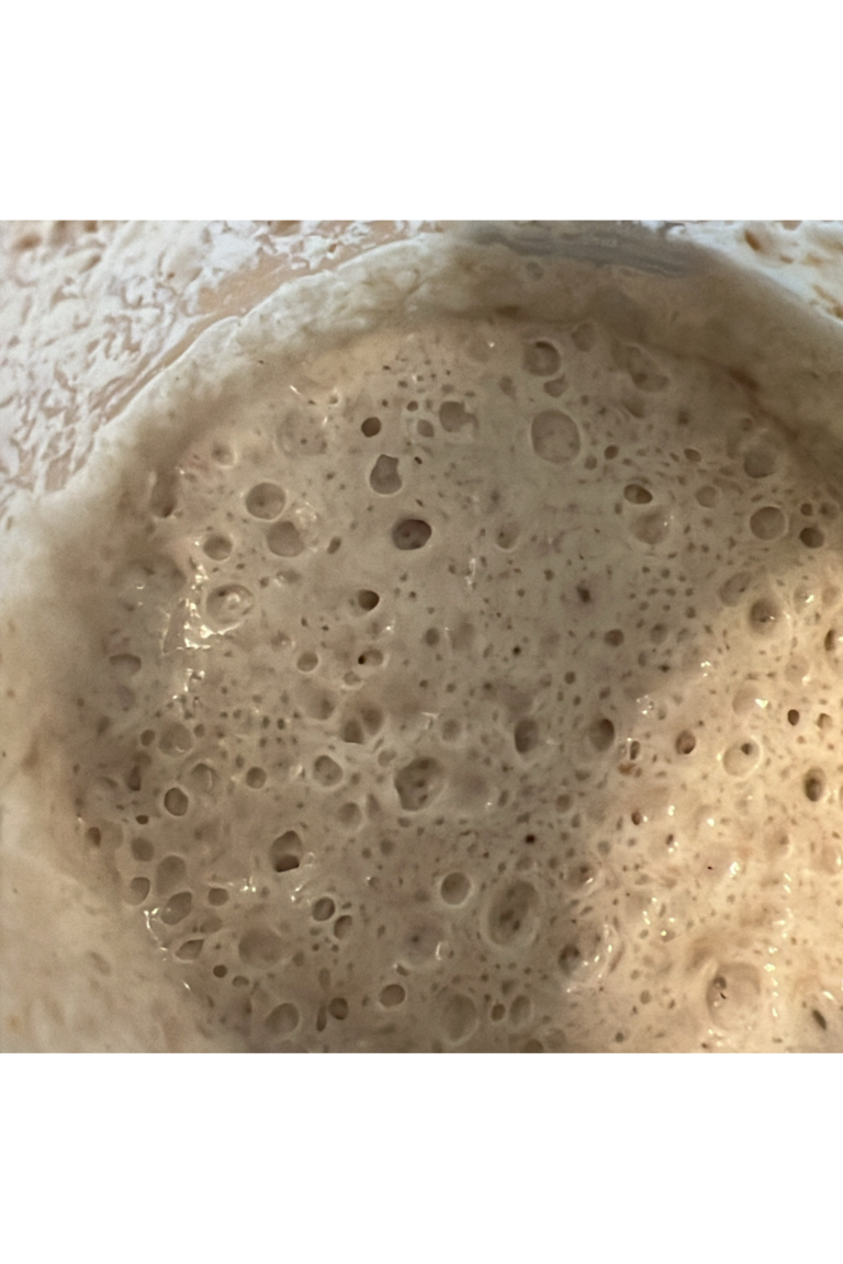 Close-up of bubbly sourdough starter in a container.